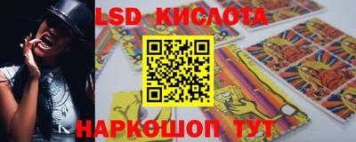 PSILOCYBIN Бугуруслан